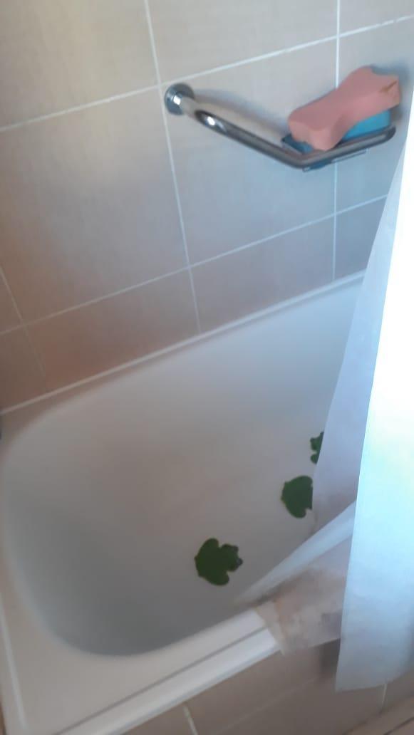 Foto 17