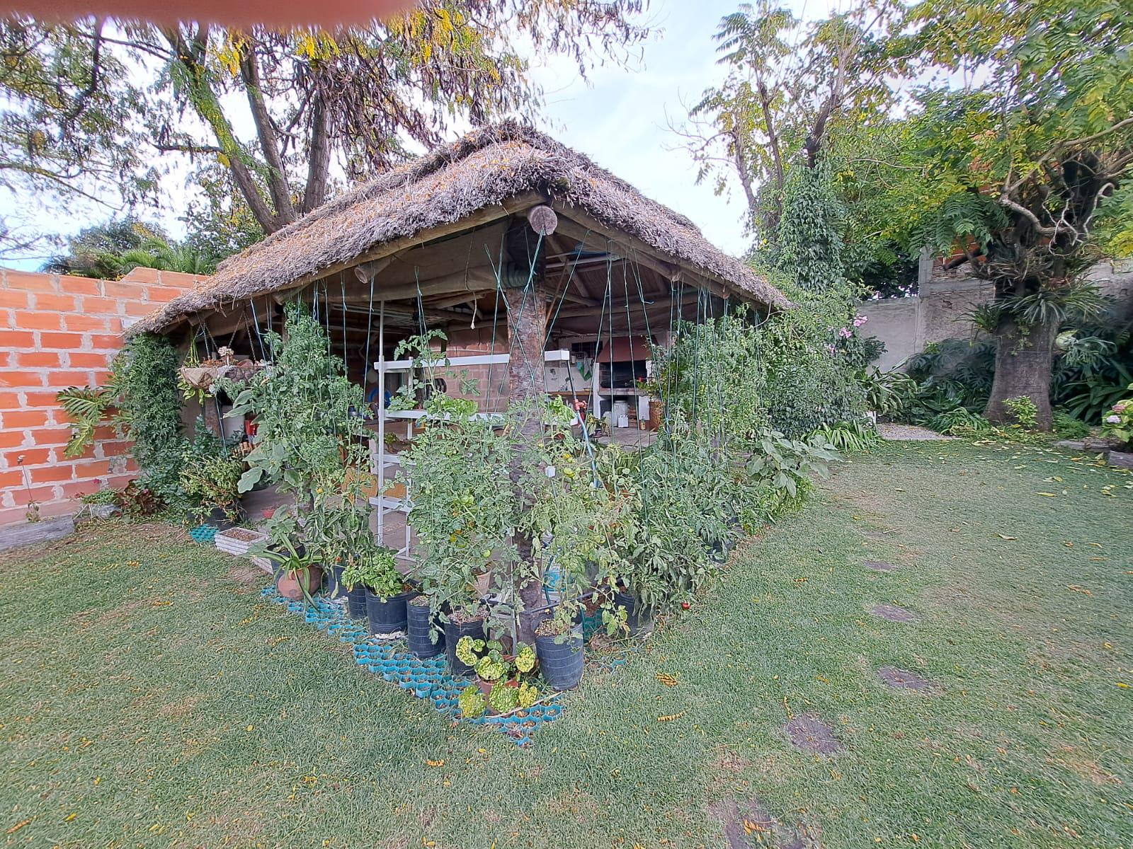 Foto 14