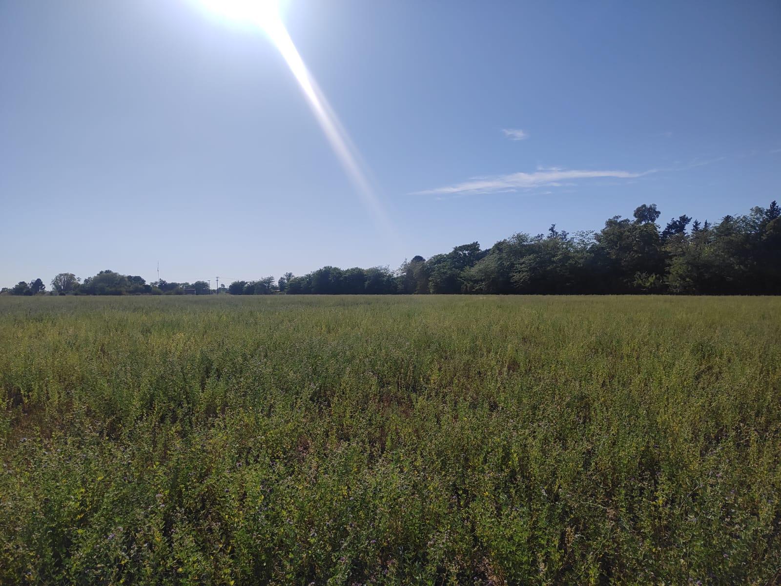 Terreno en venta · Agote, Mercedes, Interior de Buenos Aires, Provincia de Buenos Aires