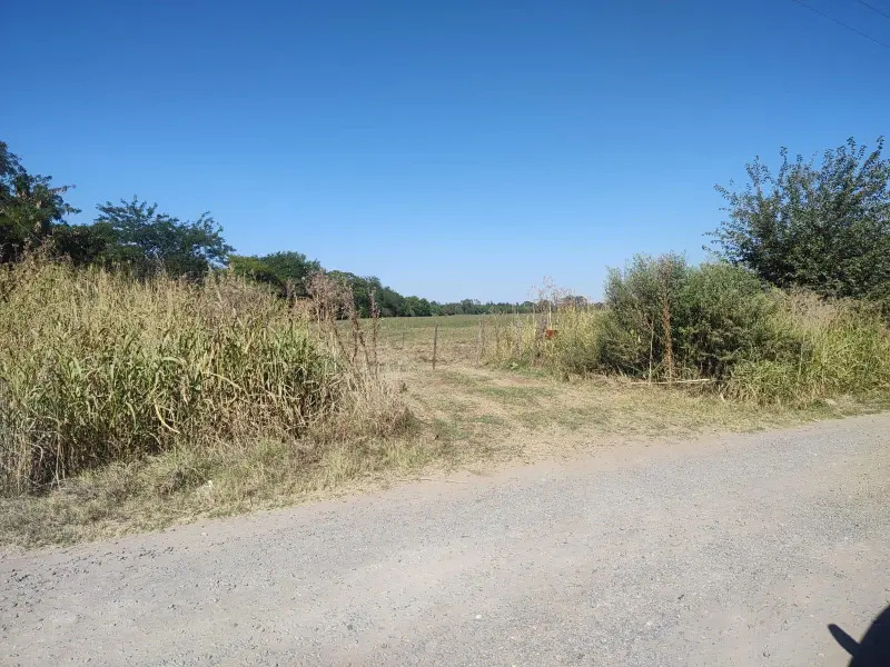 Foto 8