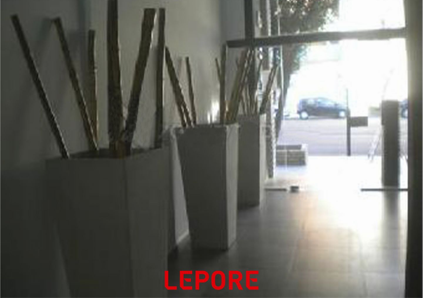 Foto 15