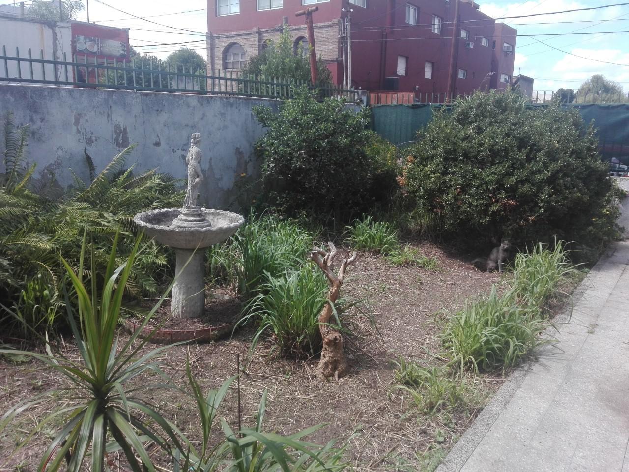 Foto 10