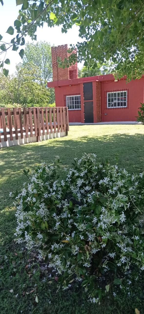 Foto 14
