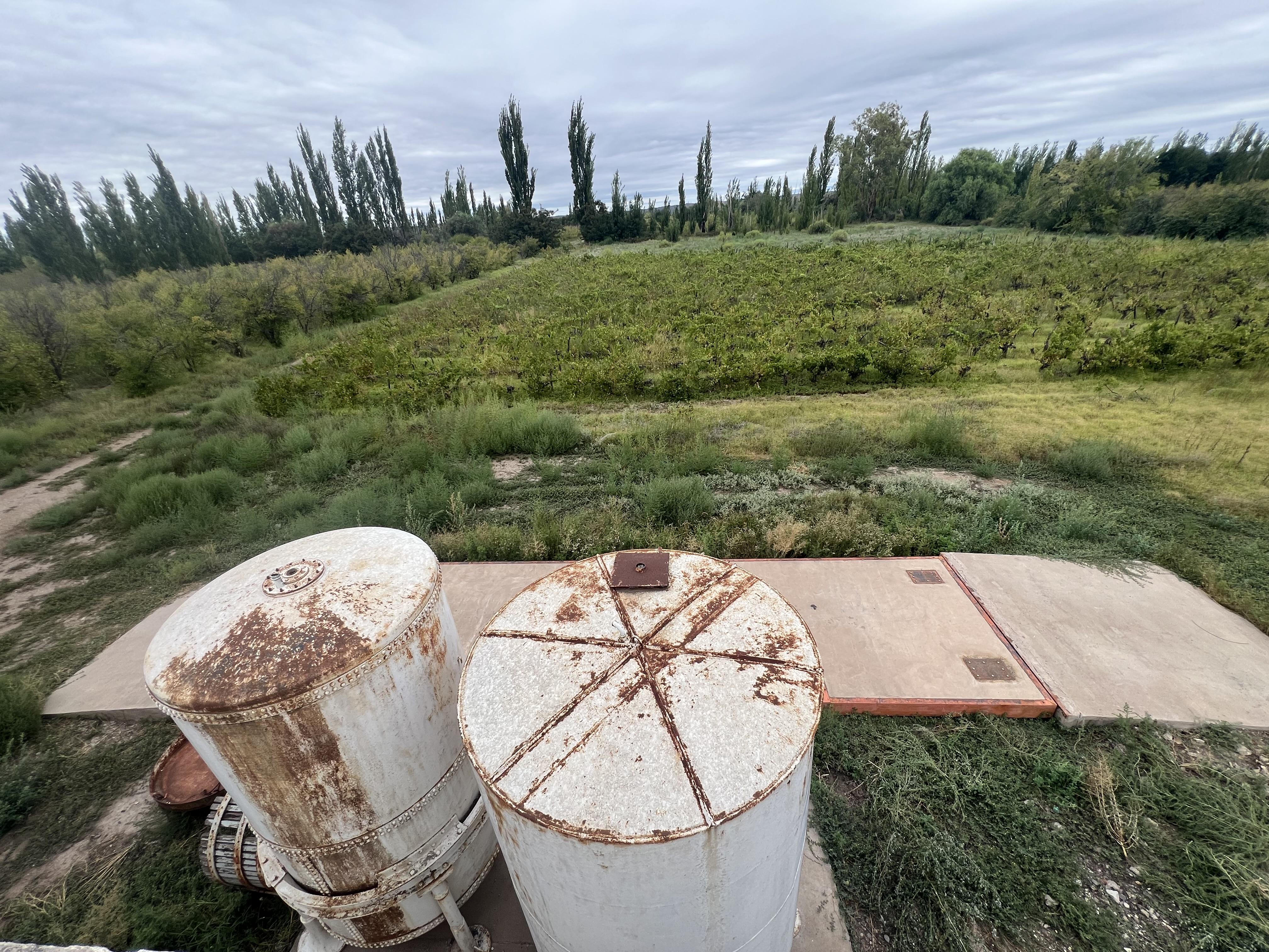 Foto 11