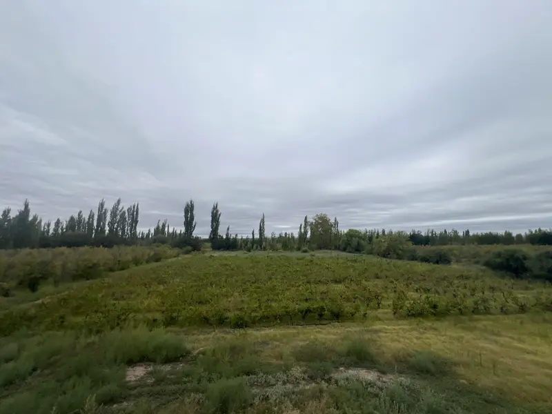 Depósito en venta · Cañada Seca, San Rafael, Mendoza