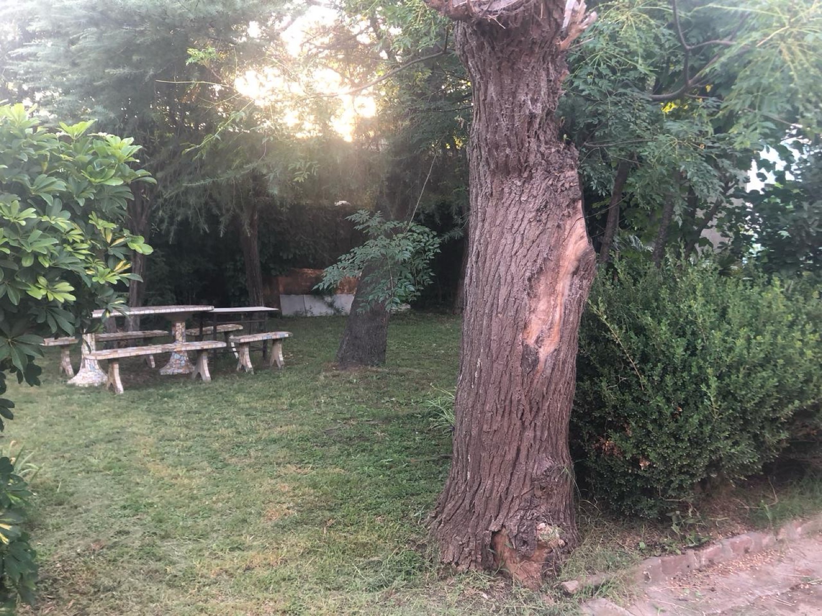 Foto 7