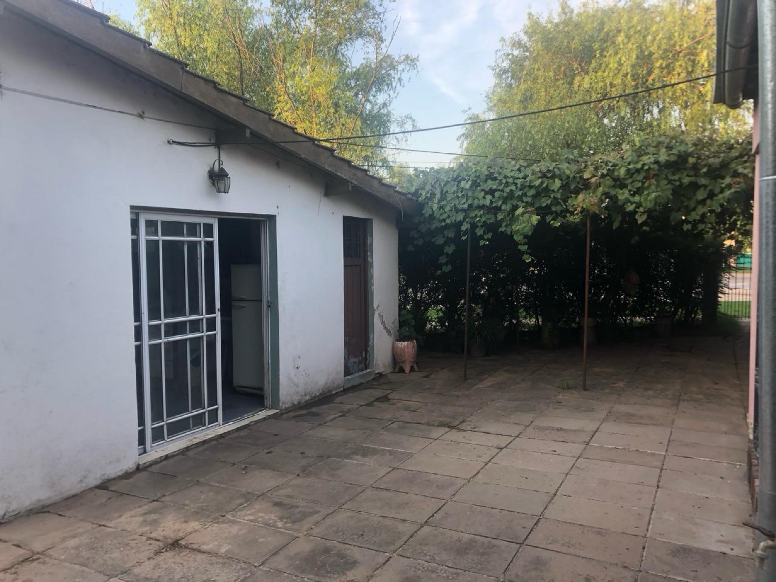 Foto 6