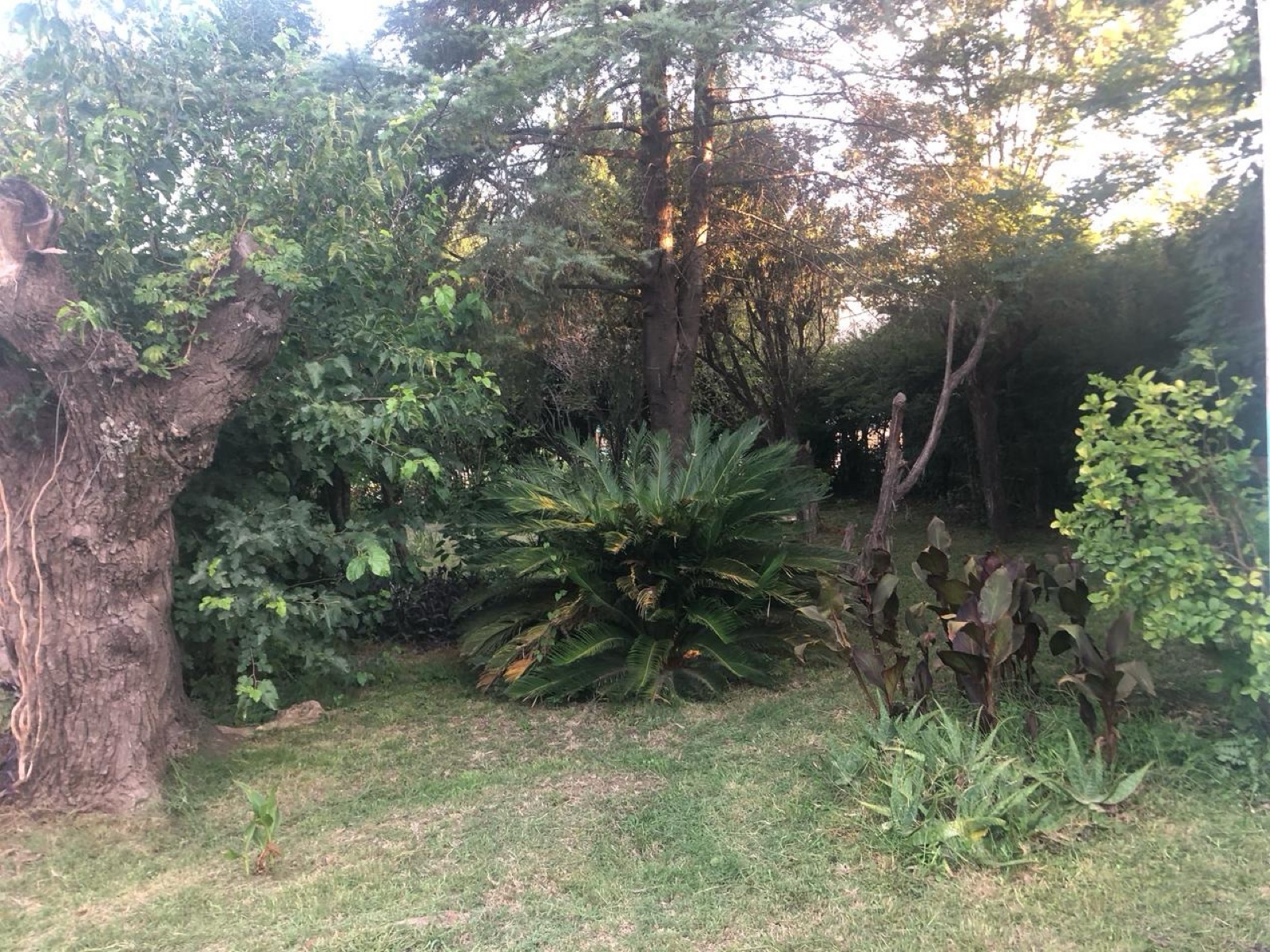Foto 3
