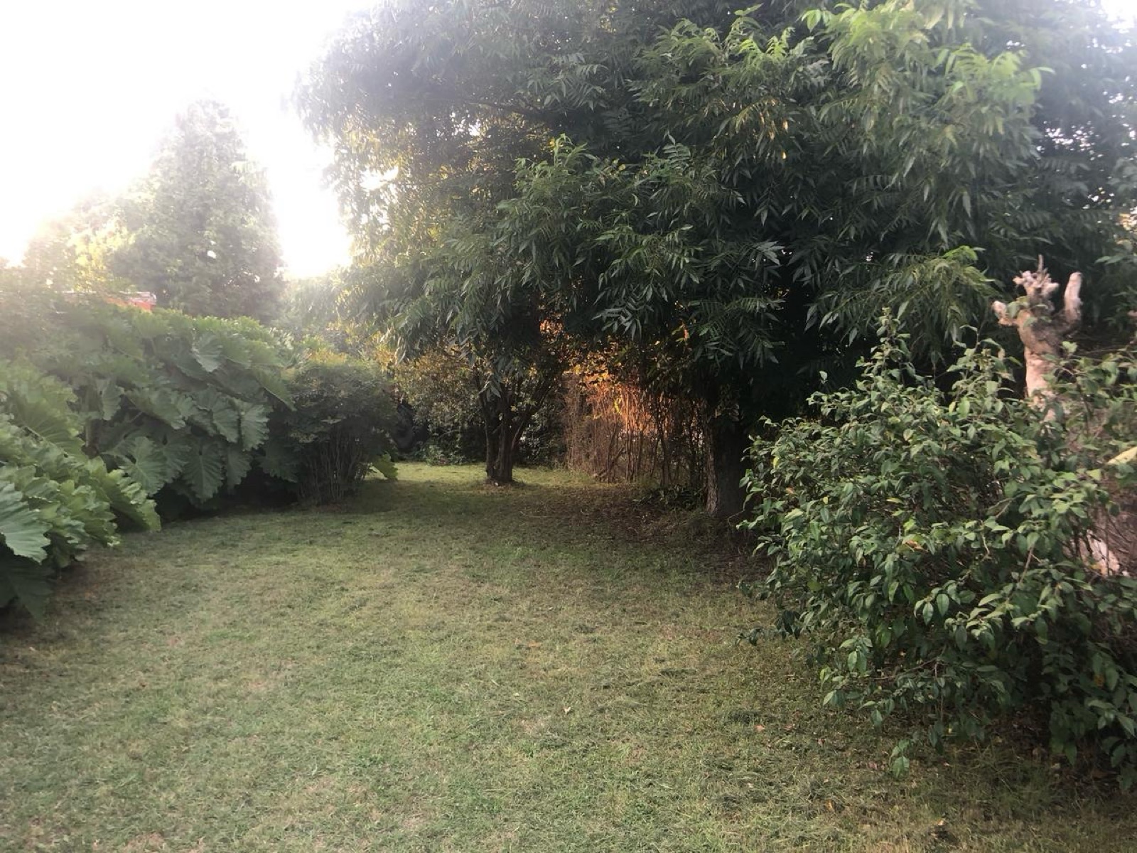 Foto 8
