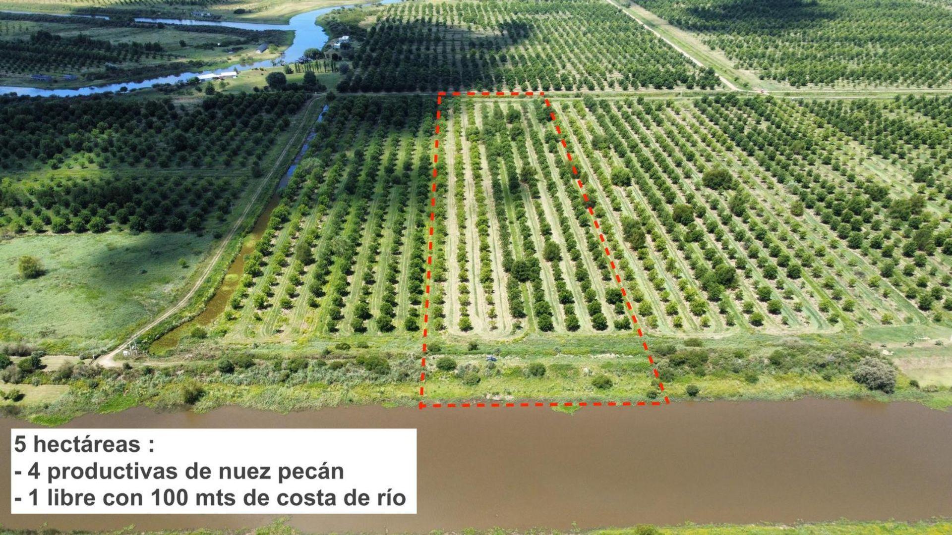 Terreno en venta · Villa Paranacito, Islas del Ibicuy, Entre Ríos