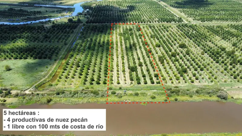 Terreno en venta · Villa Paranacito, Islas del Ibicuy, Entre Ríos