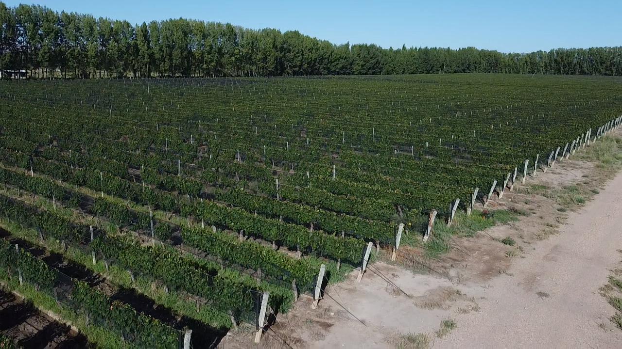 Terreno en venta · Cuadro Benegas, San Rafael, San Rafael, Mendoza
