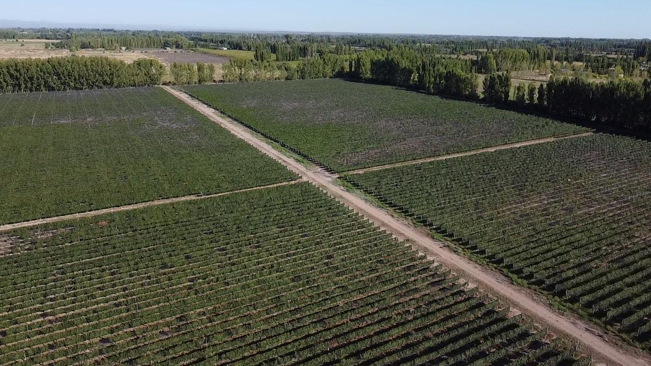 Terreno en venta · Cuadro Benegas, San Rafael, San Rafael, Mendoza