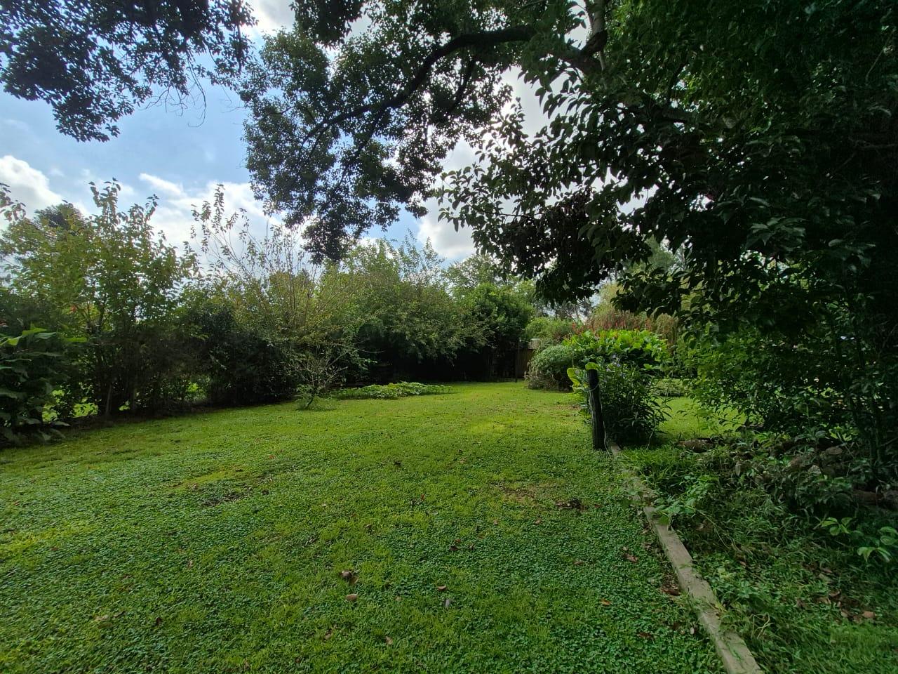 Foto 24