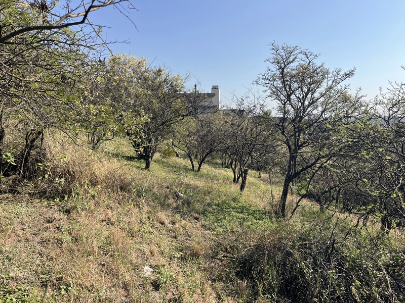 Foto 15
