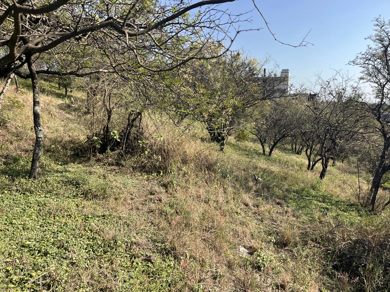 Foto 16