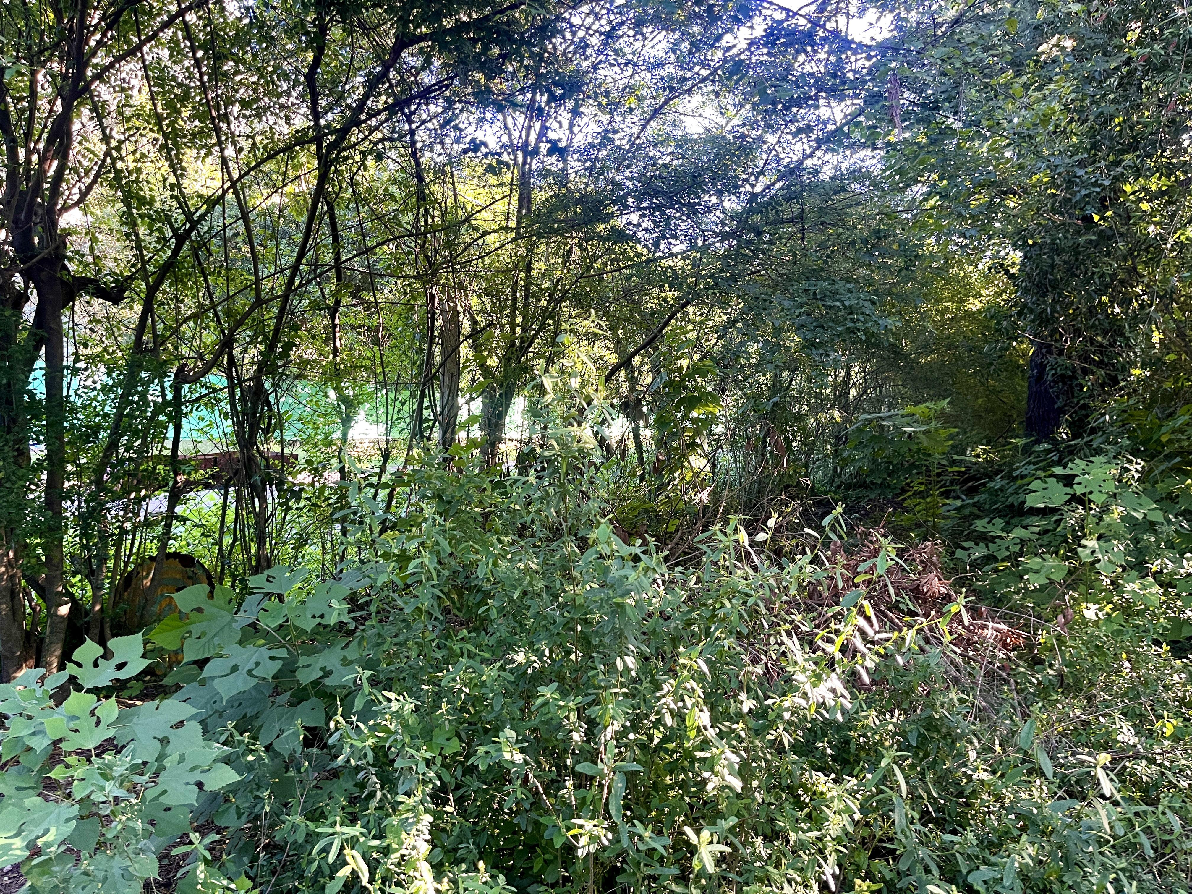 Foto 14