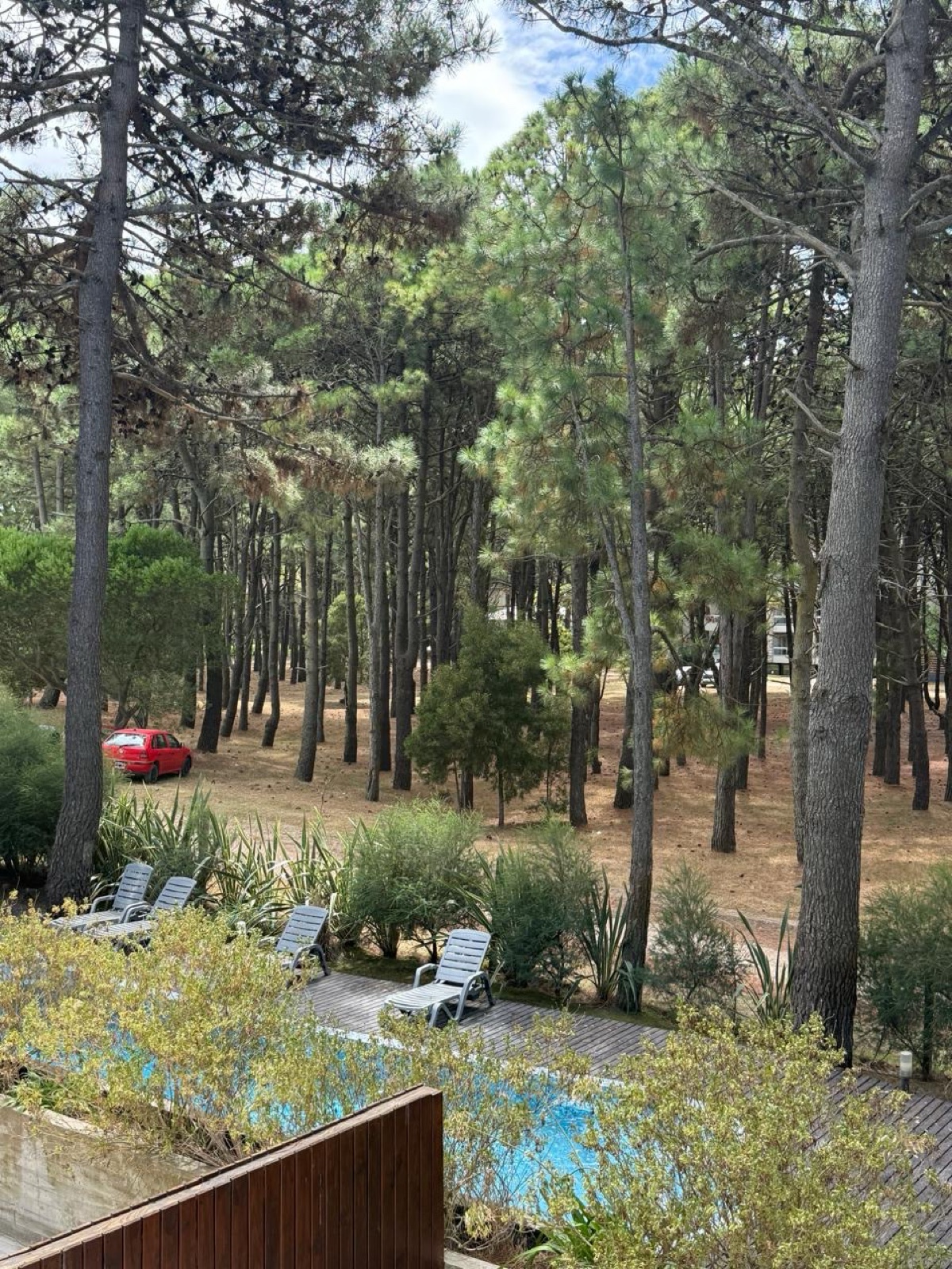 Foto 18