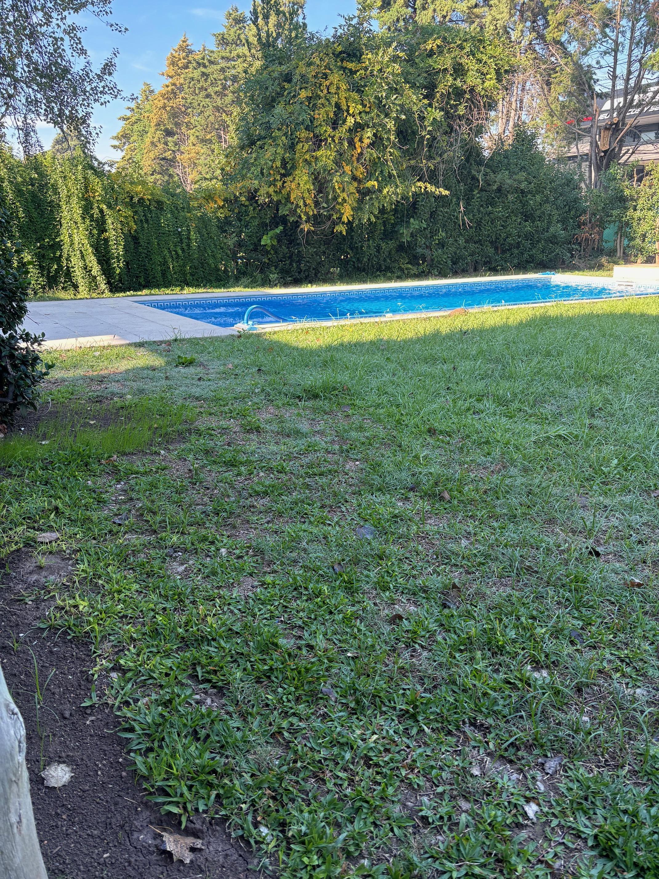 Foto 21