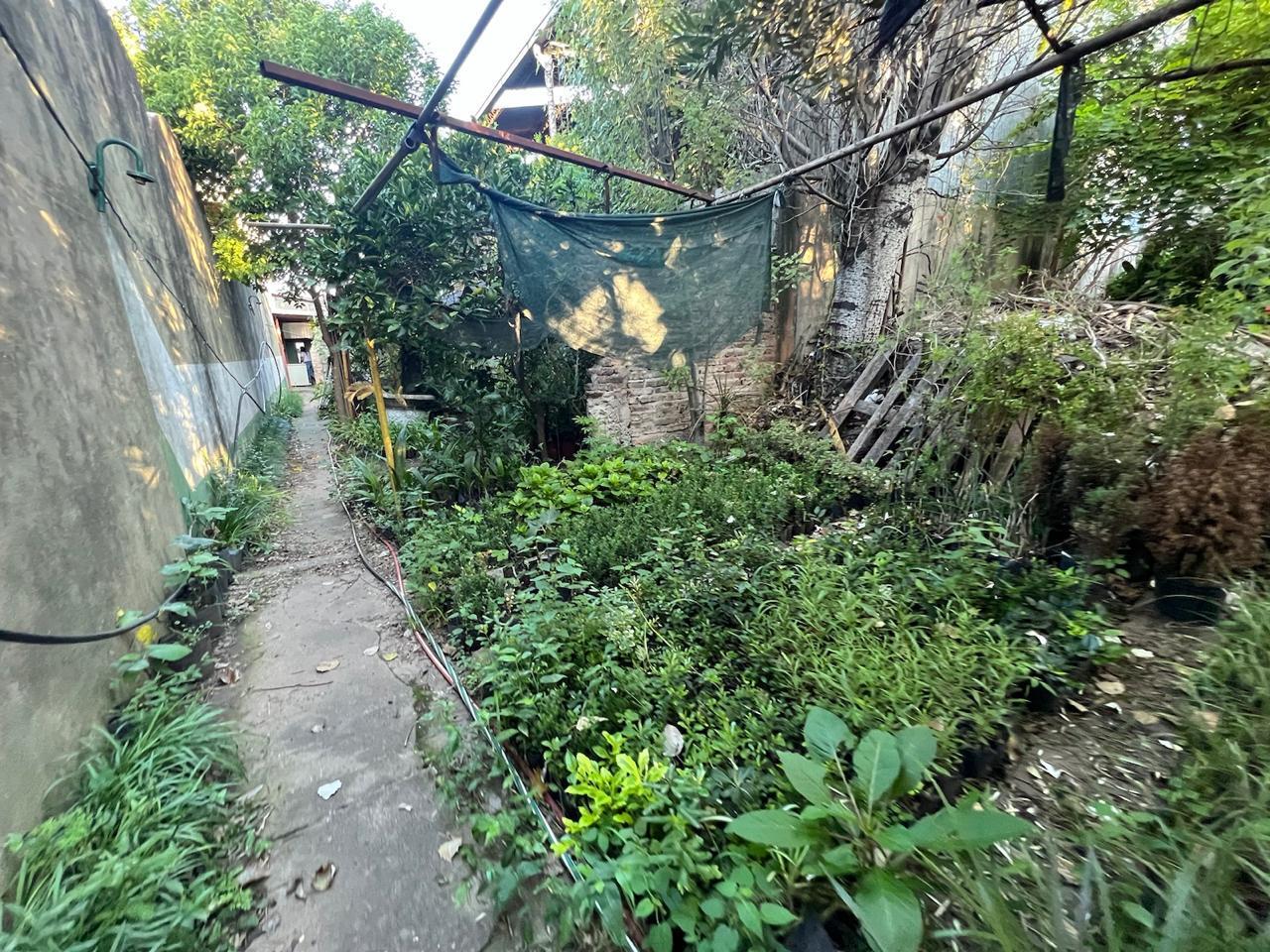 Foto 44
