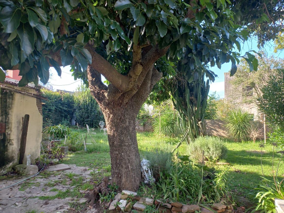 Foto 14