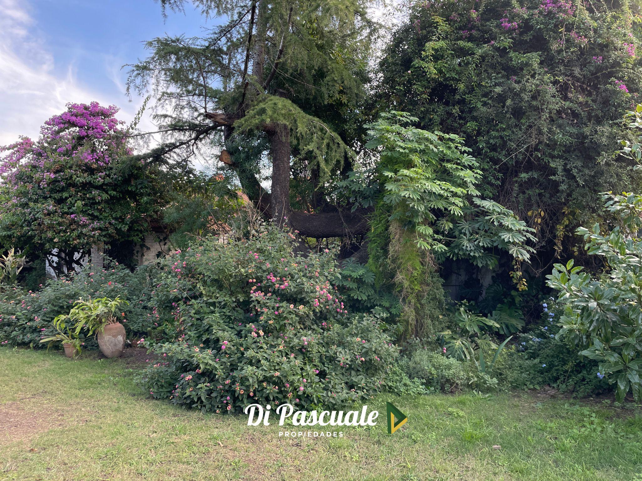Foto 31