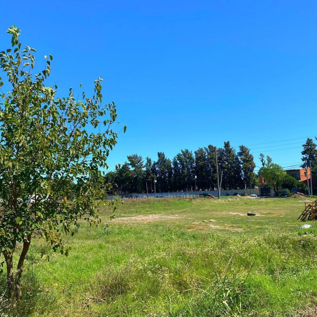 Foto 6
