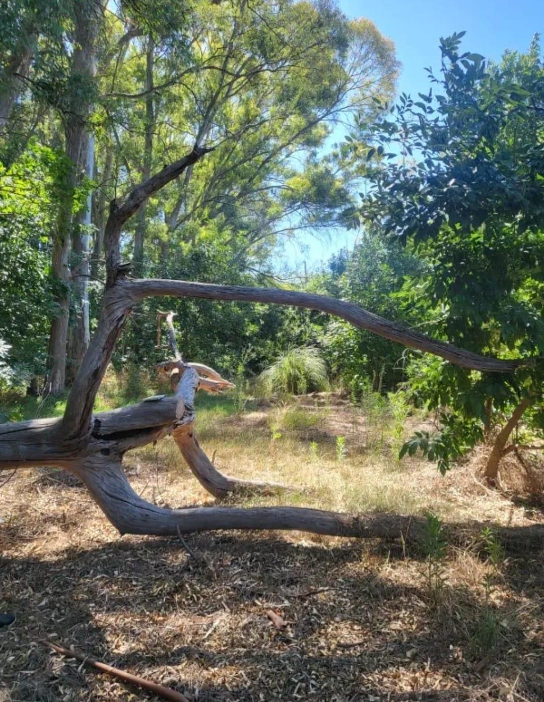 Foto 10