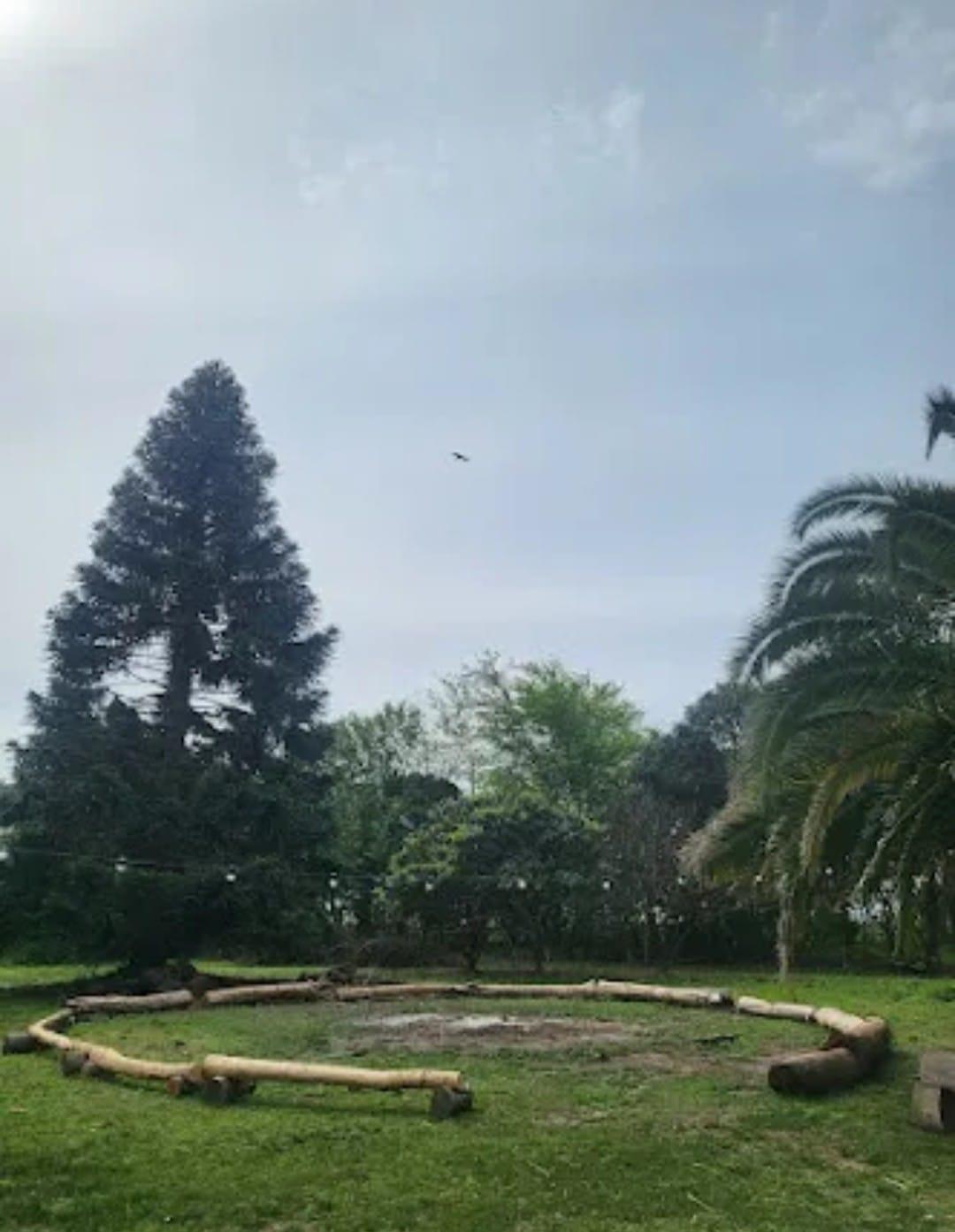 Foto 13