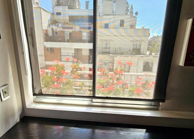 Foto 20