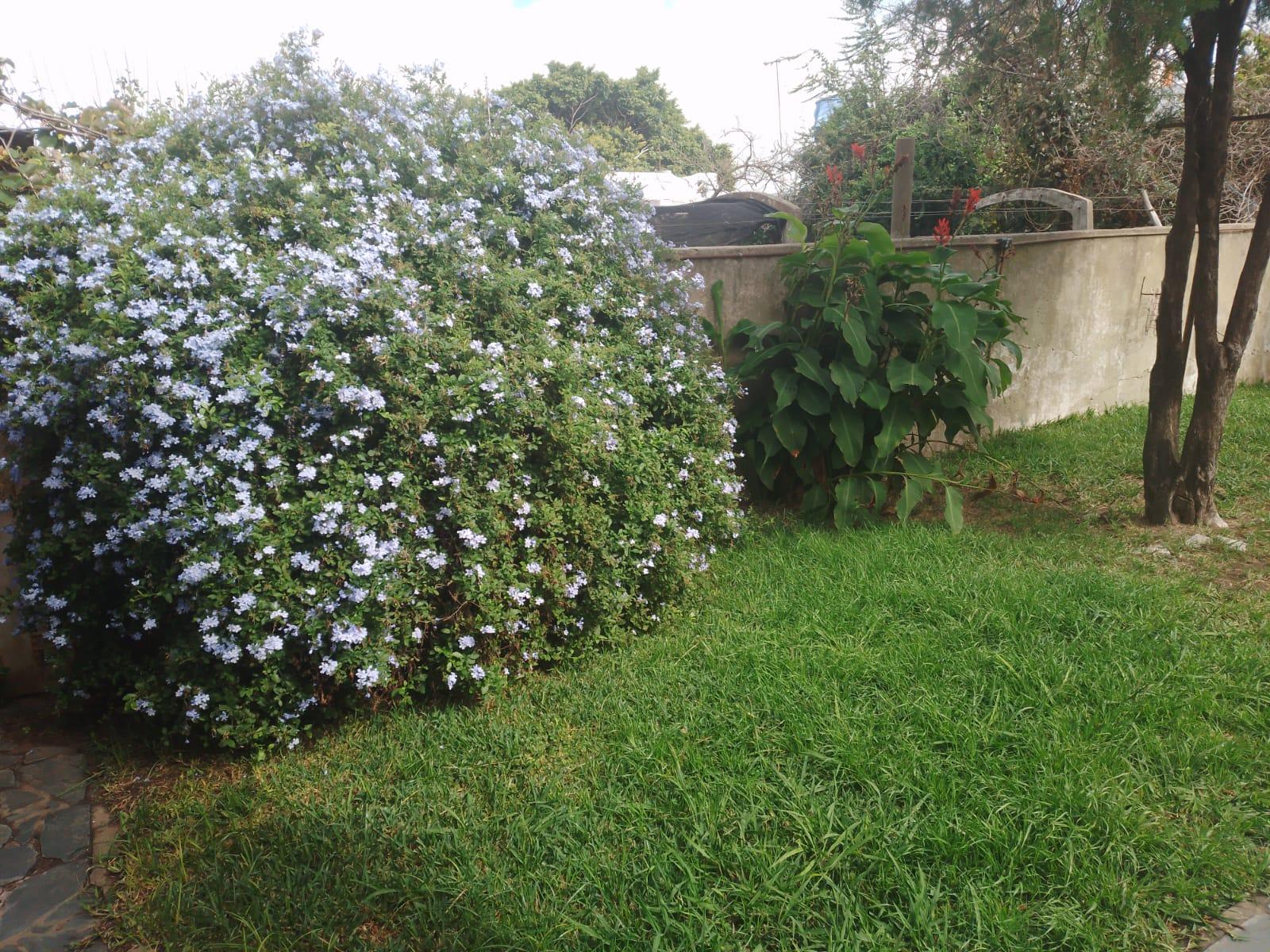 Foto 41