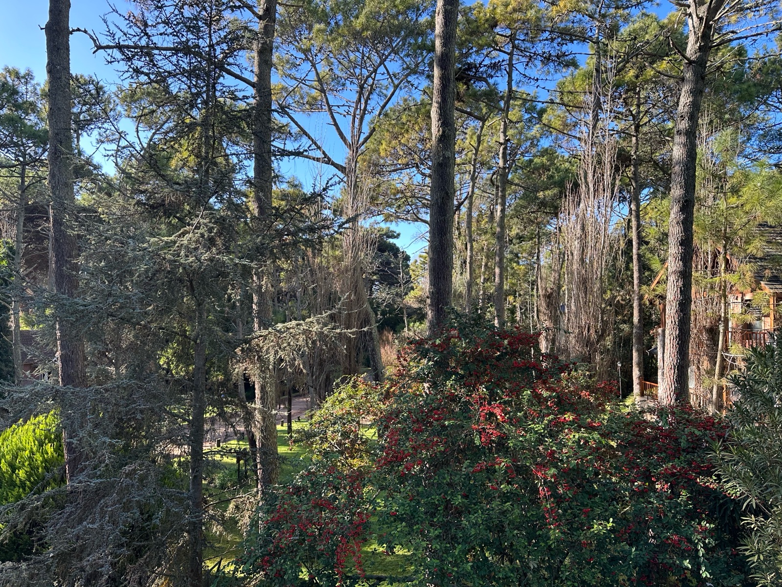 Foto 51