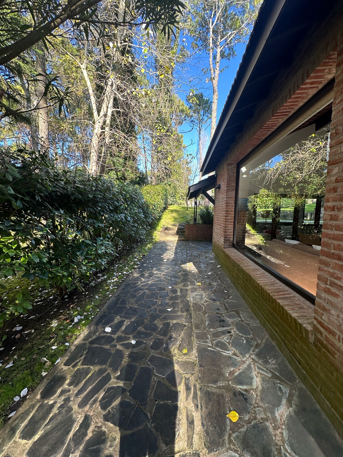 Foto 43