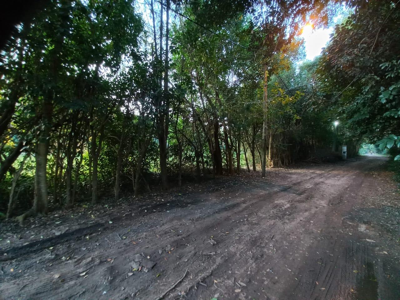 Terreno en venta · Monteverde, Los Cardales, Exaltación de la Cruz, GBA Norte, Provincia de Buenos Aires