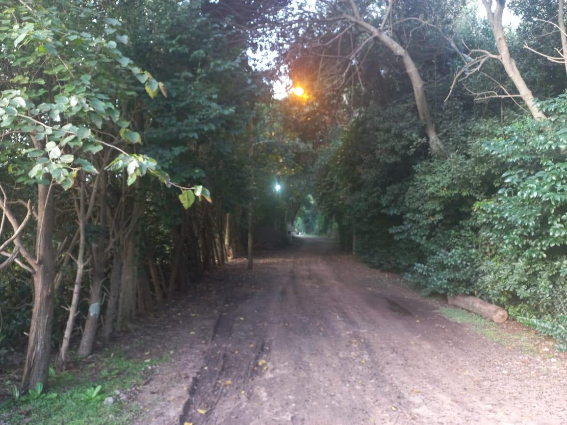 Foto 5
