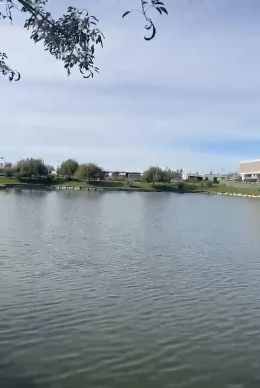 Terreno en venta · Virazón, Nordelta, Tigre, GBA Norte, Provincia de Buenos Aires
