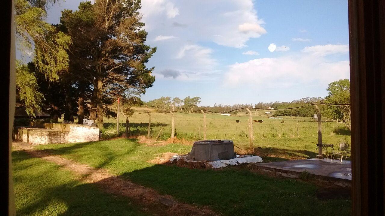 Foto 14