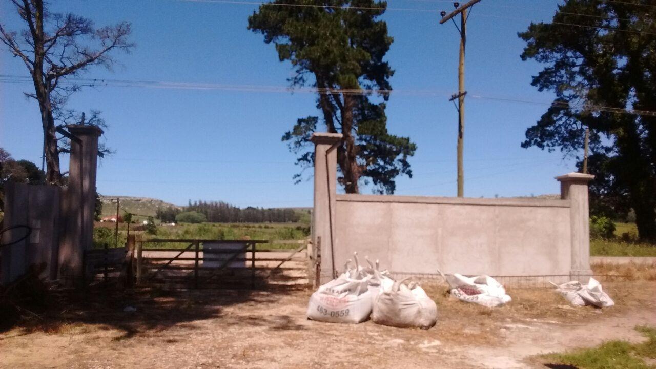 Foto 6