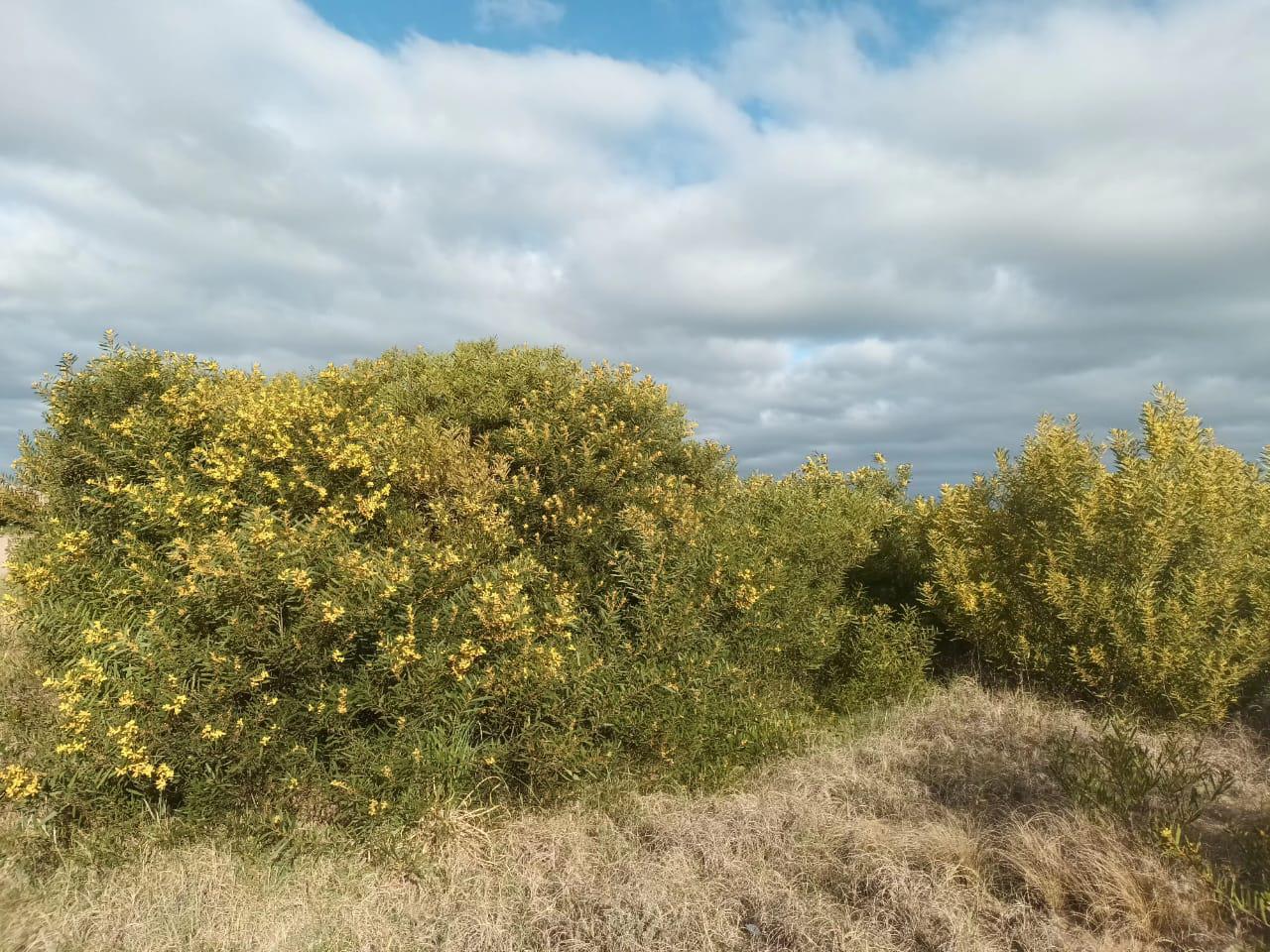 Foto 6
