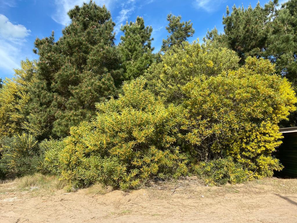 Foto 5
