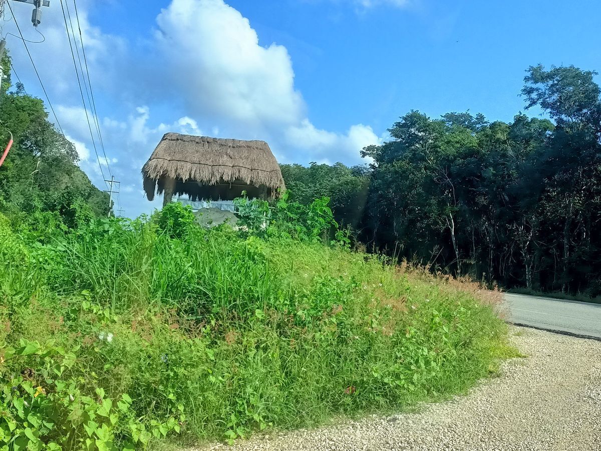 Lote en venta · José María Pino Suárez, Felipe Carrillo Puerto, Quintana Roo