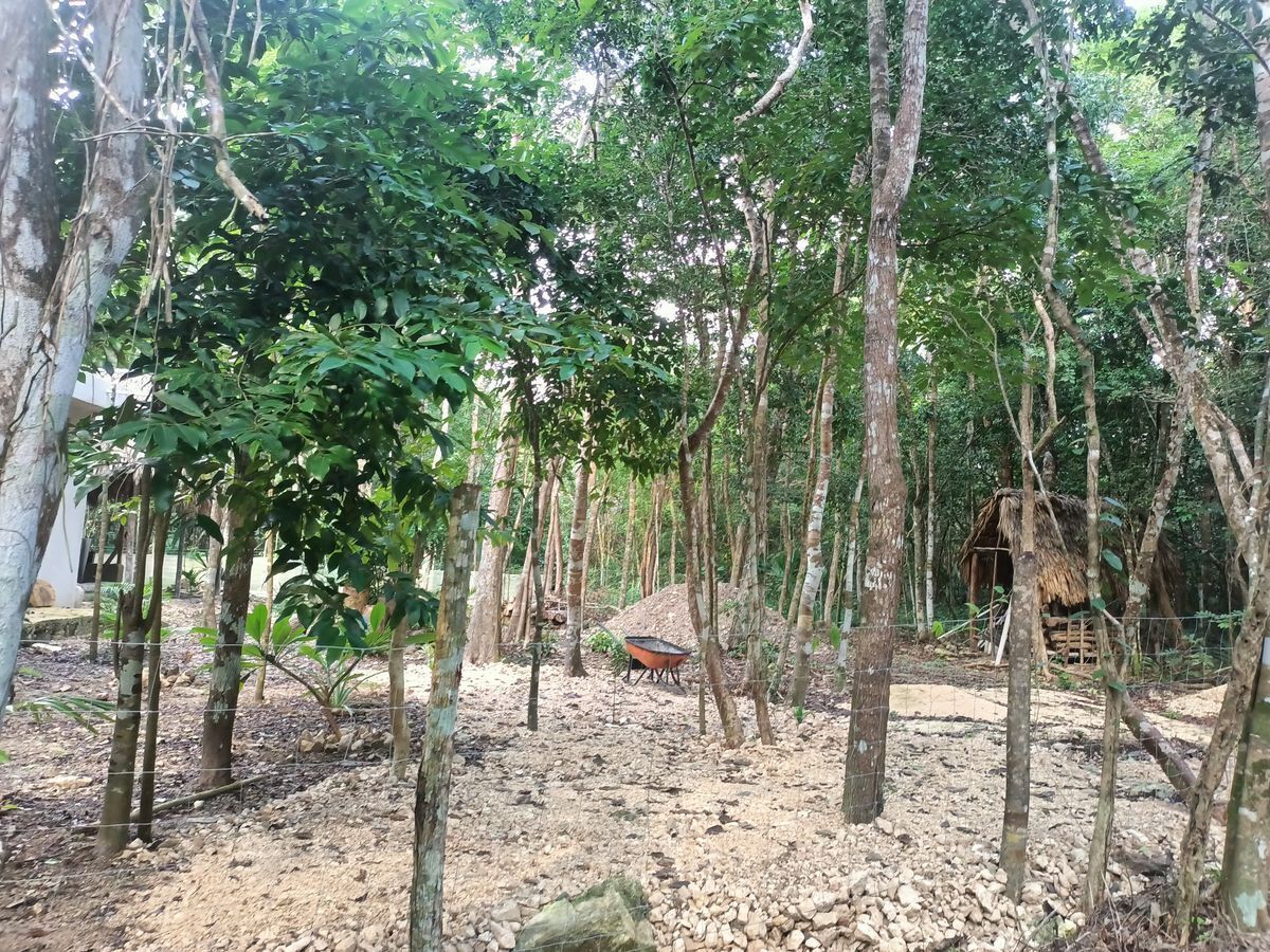 Foto 12