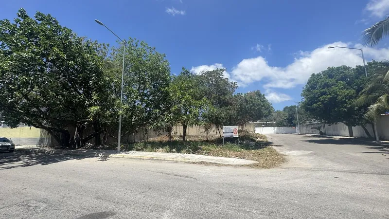 Lote en venta · Forjadores, Solidaridad, Quintana Roo