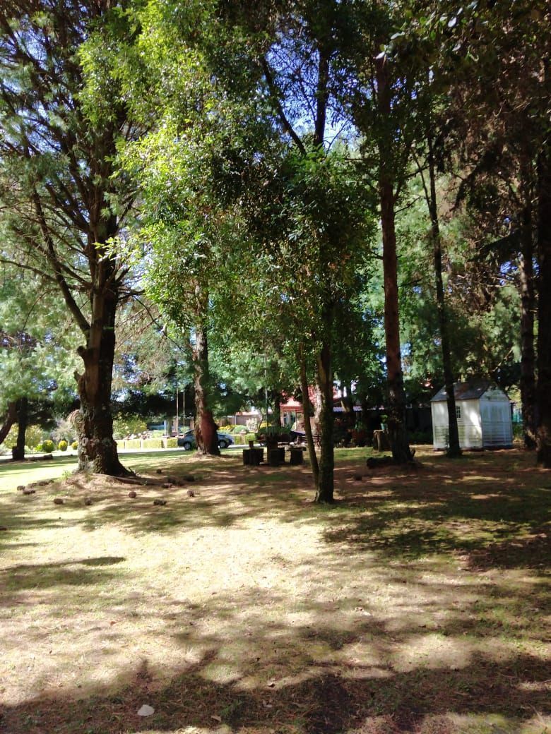 Foto 10