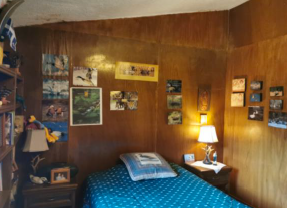 Foto 19