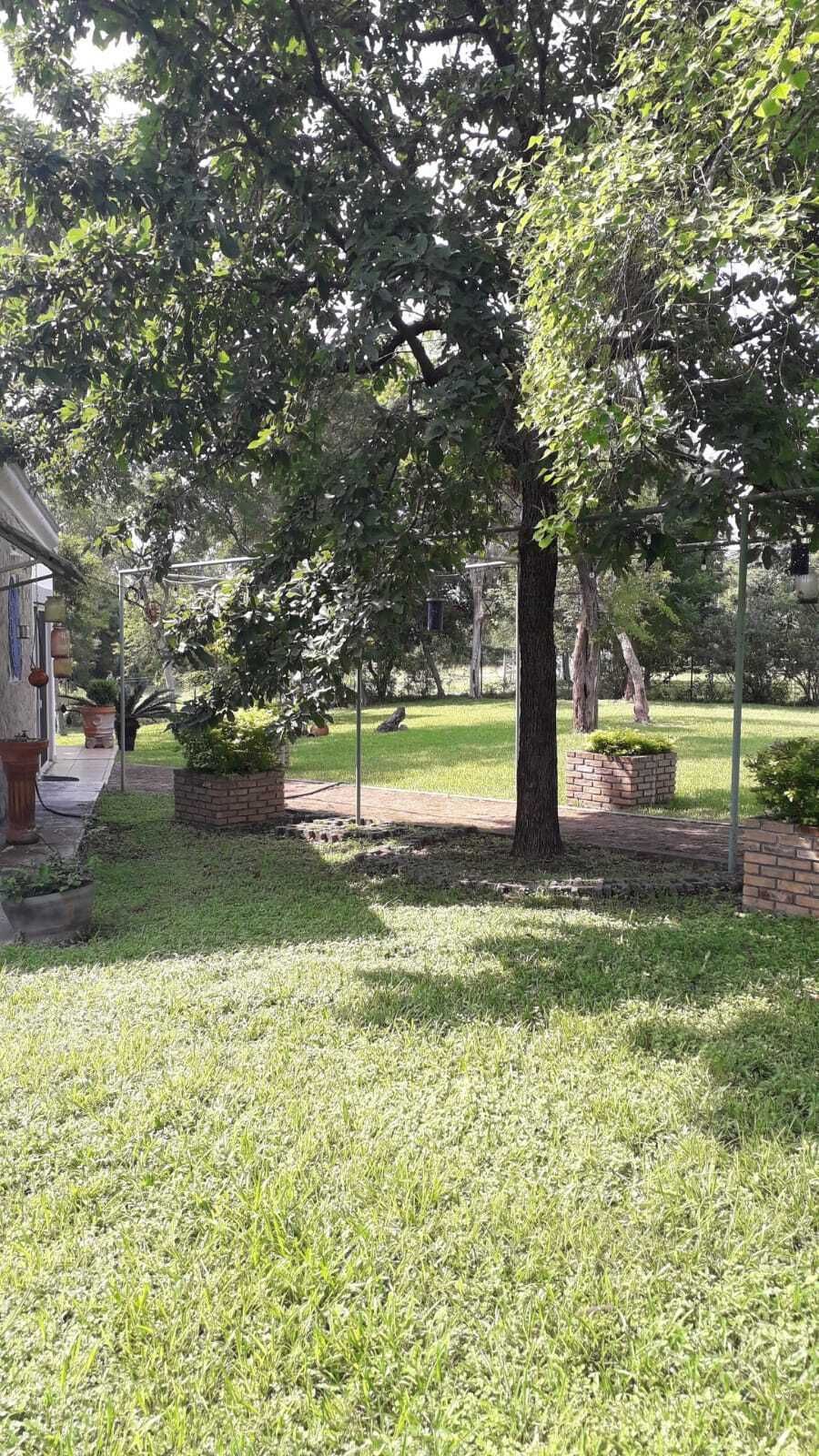 Foto 7