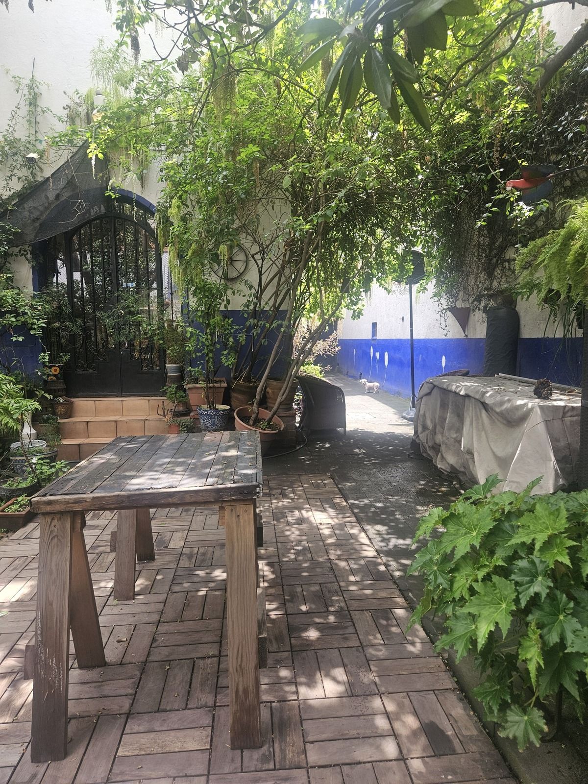 Foto 6