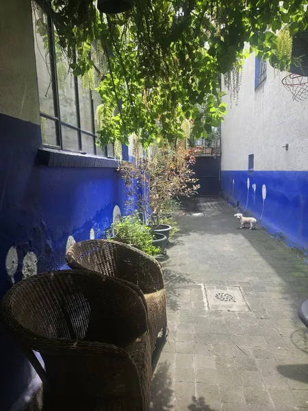 Foto 5