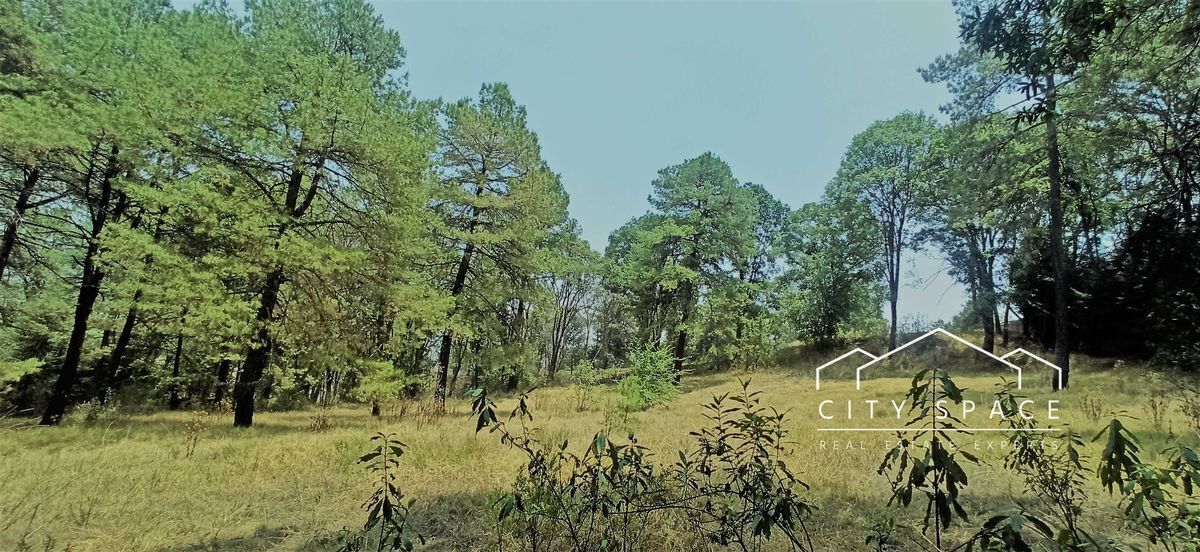 Lote en venta · Santa Ana Jilotzingo, Jilotzingo, Estado de México