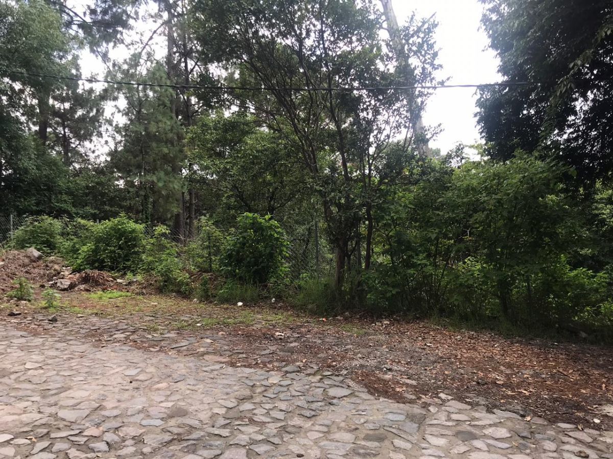 Lote en venta · Santa Magdalena Tilostoc, Valle de Bravo, Estado de México